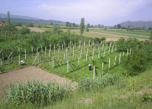 Albania_farmland2